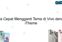 Cara Cepat Mengganti Tema di Vivo dengan iTheme