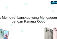 Tips Memotret Lanskap yang Mengagumkan dengan Kamera Oppo